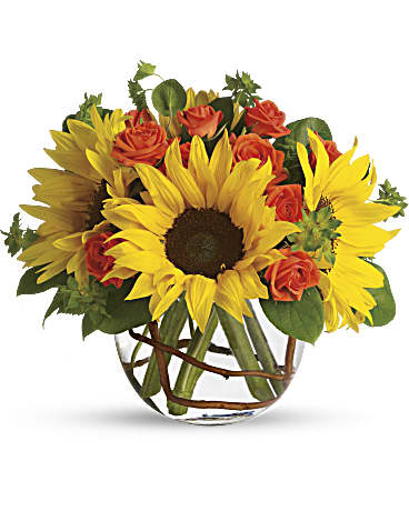 Sunny Sunflowers