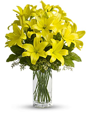Lily Sunshine